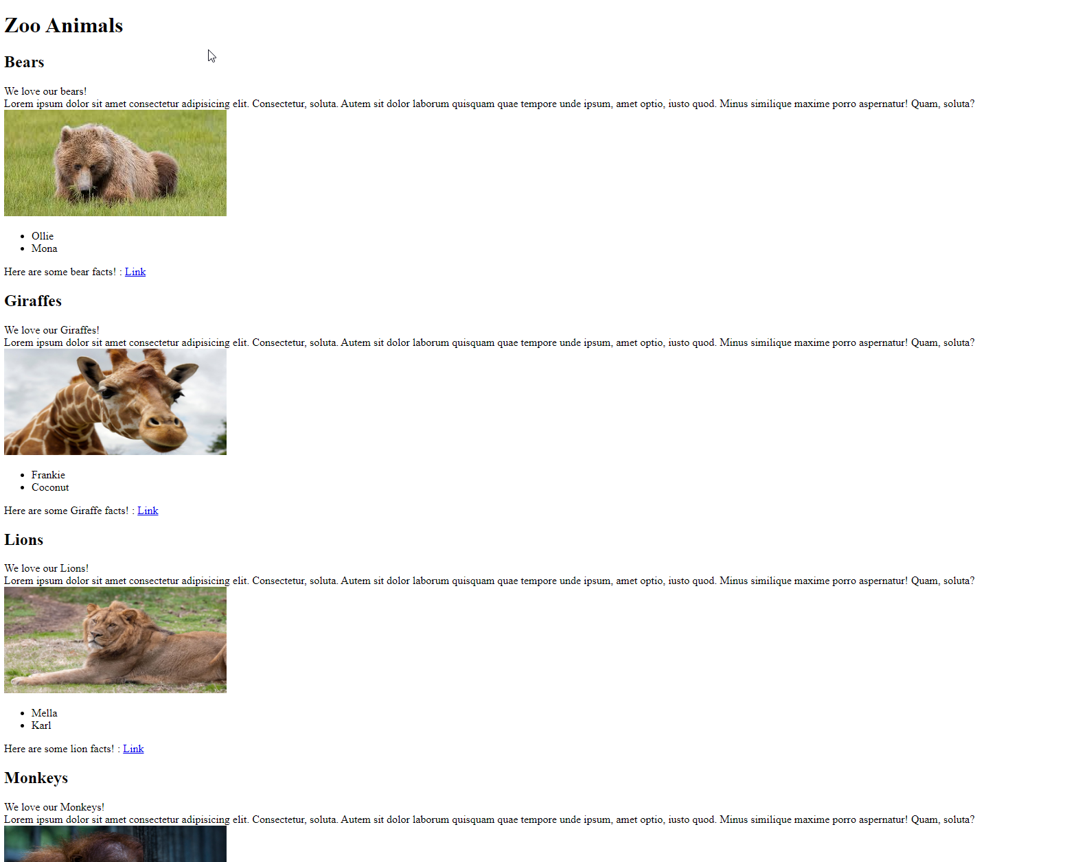 Zoo Animals